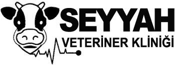 İklim Veteriner